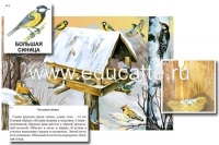 Магнитный плакат-аппликация "Биоразнообразие и экологические группы. Птицы зимой"