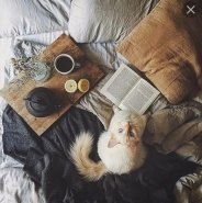 Лично моё счастье – книжка, чай и кошка!