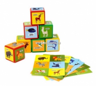 Набор цветных кубиков «Животные», 6 штук, 6 х 6 см