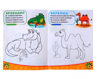 Раскраска «Животные южных стран», 12 стр