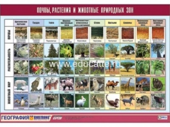 Таблица демонстрационная "Почвы, растения и животные природных зон" (винил 70x100)