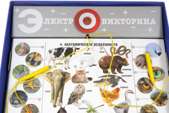 Игра Электровикторина "Живая природа" серия «Думать надо!»